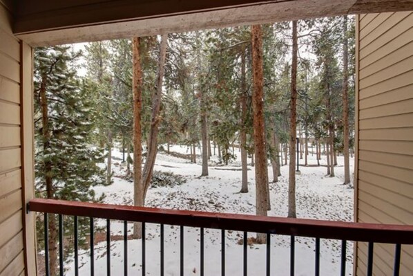 Condo, Multiple Beds, Courtyard View (Quicksilver 1672) | Exterior - Quicksilver 1672 (Keystone)