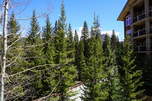 Vista desde la habitación