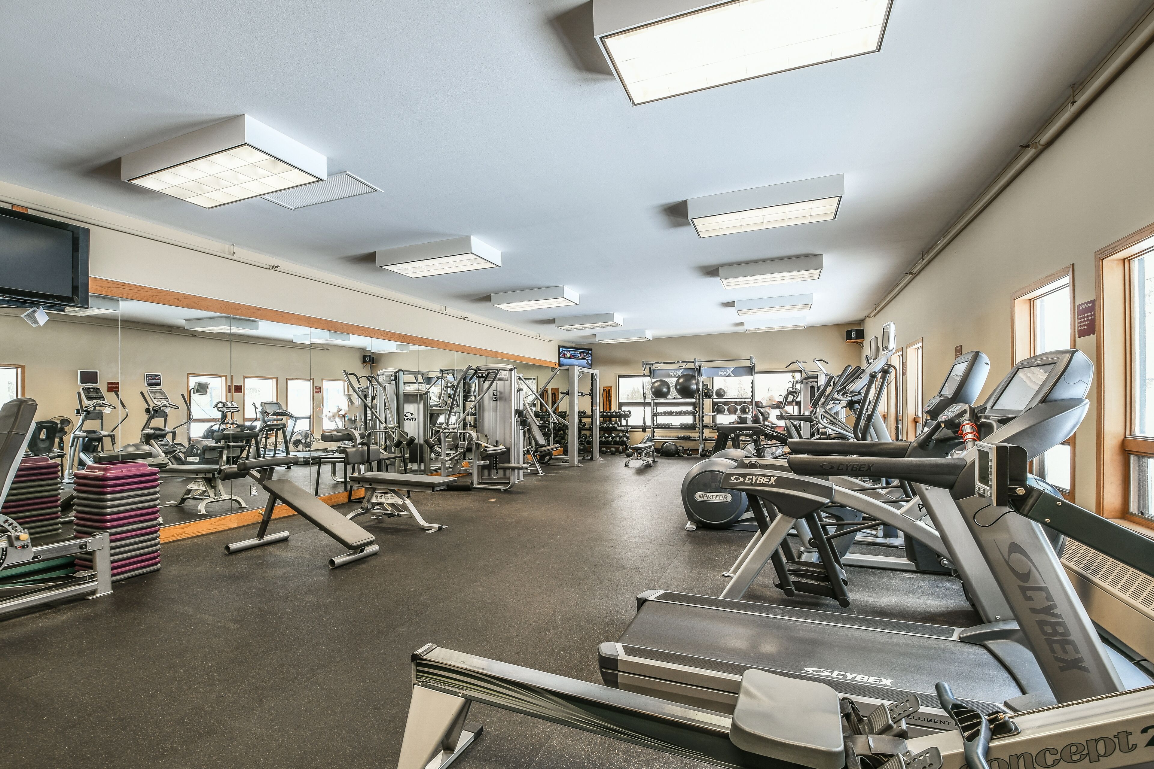 A gym with treadmills, weight machines, and a mirrored wall.