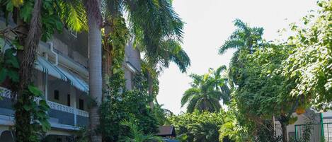 A narrow street lined with lush greenery and buildings with balconies.