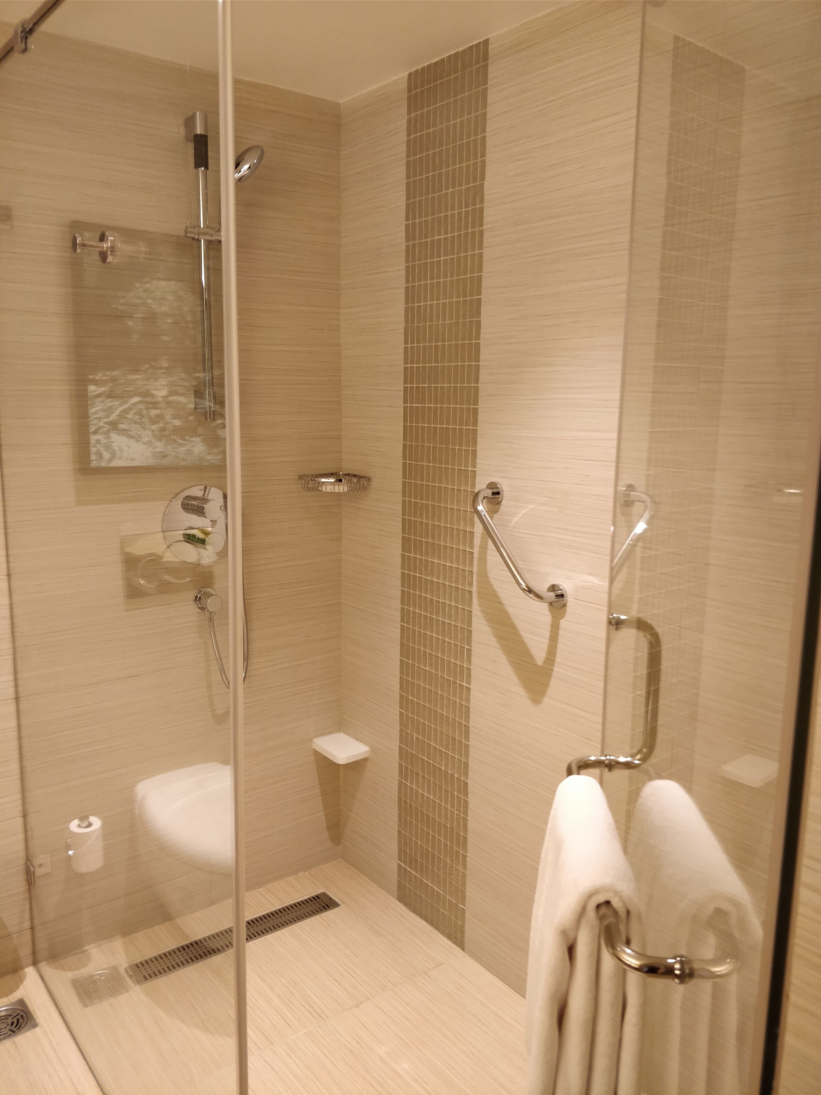 A modern shower area with glass doors, a glass shower enclosure, a handrail, a small shelf, and a towel rack.