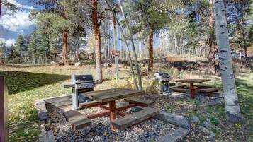 BBQ/picnic area
