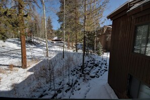 Una cabaña con un patio cubierto de nieve y una vista despejada del bosque circundante.