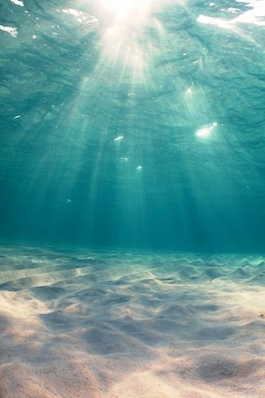 An underwater scene with sunlight filtering through the water, creating a pattern on the sandy ocean floor. - Mcmill House (Shimoda)
