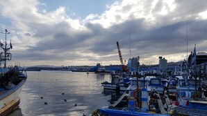 Ein Hafen mit mehreren angedockten Booten, ruhigem Wasser und einer Stadtansicht im Hintergrund.