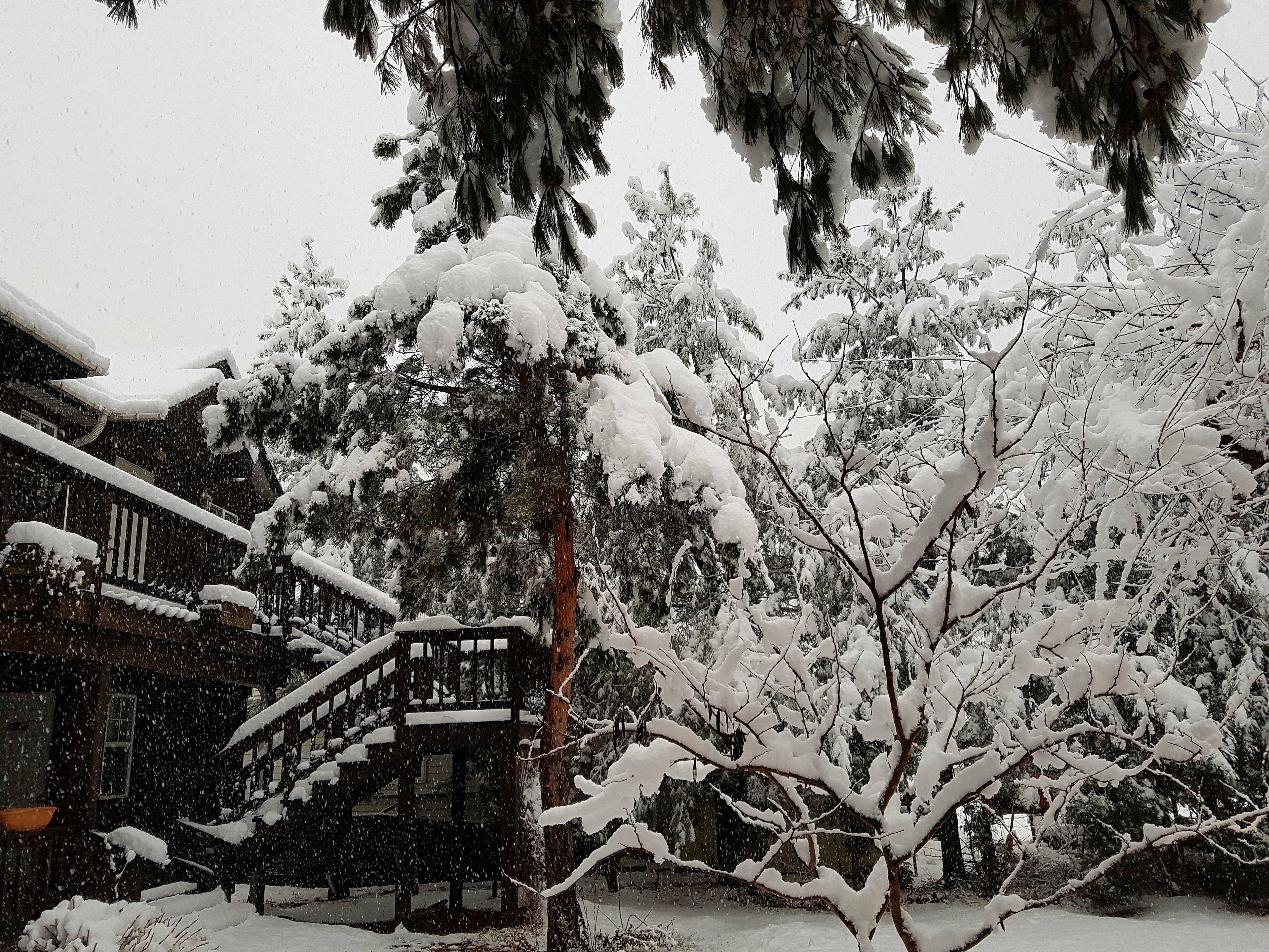 Room (Sancheoneo) | Balcony
