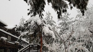 Ein schneebedecktes Gebäude mit einer Treppe, die zu einem Balkon führt.