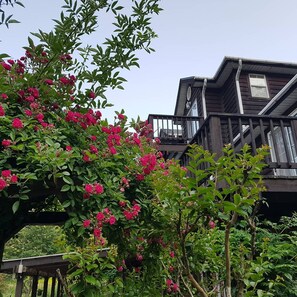 Lobby - Caddis Pension (Yangyang)