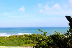 View from property - Tudor Dynasty (Shoufeng)