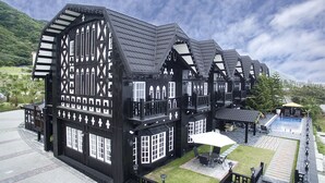 Billede uden beskrivelse, 3 af 45, knap