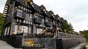 Billede uden beskrivelse, 5 af 45, knap