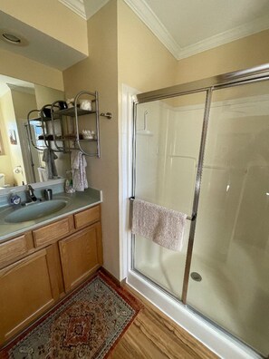 A bathroom with a glass shower door, wooden cabinets, a sink, and a mirror. - Red Rock Overlook: A secluded mountain home high above the Uncompahgre River (Ridgway)
