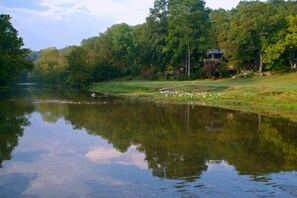 A serene lakeside setting with a golf course, lush greenery, and a house in the background. - Riverfront, golf course retreat with pool! (Cherokee Village)
