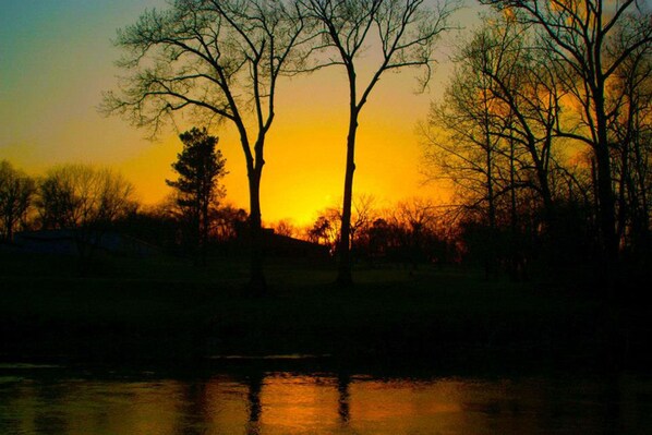 A sunset over a body of water with trees silhouetted against the sky. - Riverfront, golf course retreat with pool! (Cherokee Village)