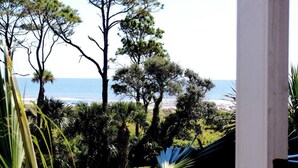 A view of a coastal landscape with trees and a clear sky. - Coastal King Couples Retreat Oceanfront Beach Property Convenient to Everything! (Hilton Head Island)