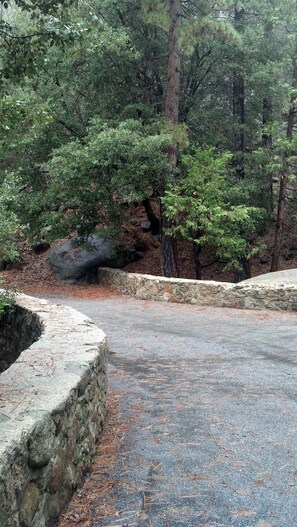 Property grounds - TRAILS RIGHT OUT YOUR BACK DOOR -- Yet Walk to Town! (Idyllwild-Pine Cove)