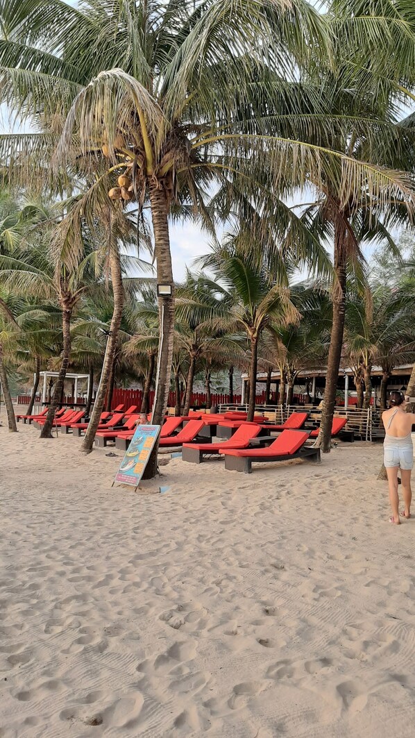 A beach with red lounge chairs and palm trees. - Sun Leo Hotel (Sihanoukville)