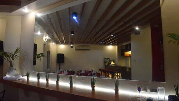 A bar area with a long counter, potted plants, and a large mirror reflecting the ceiling.