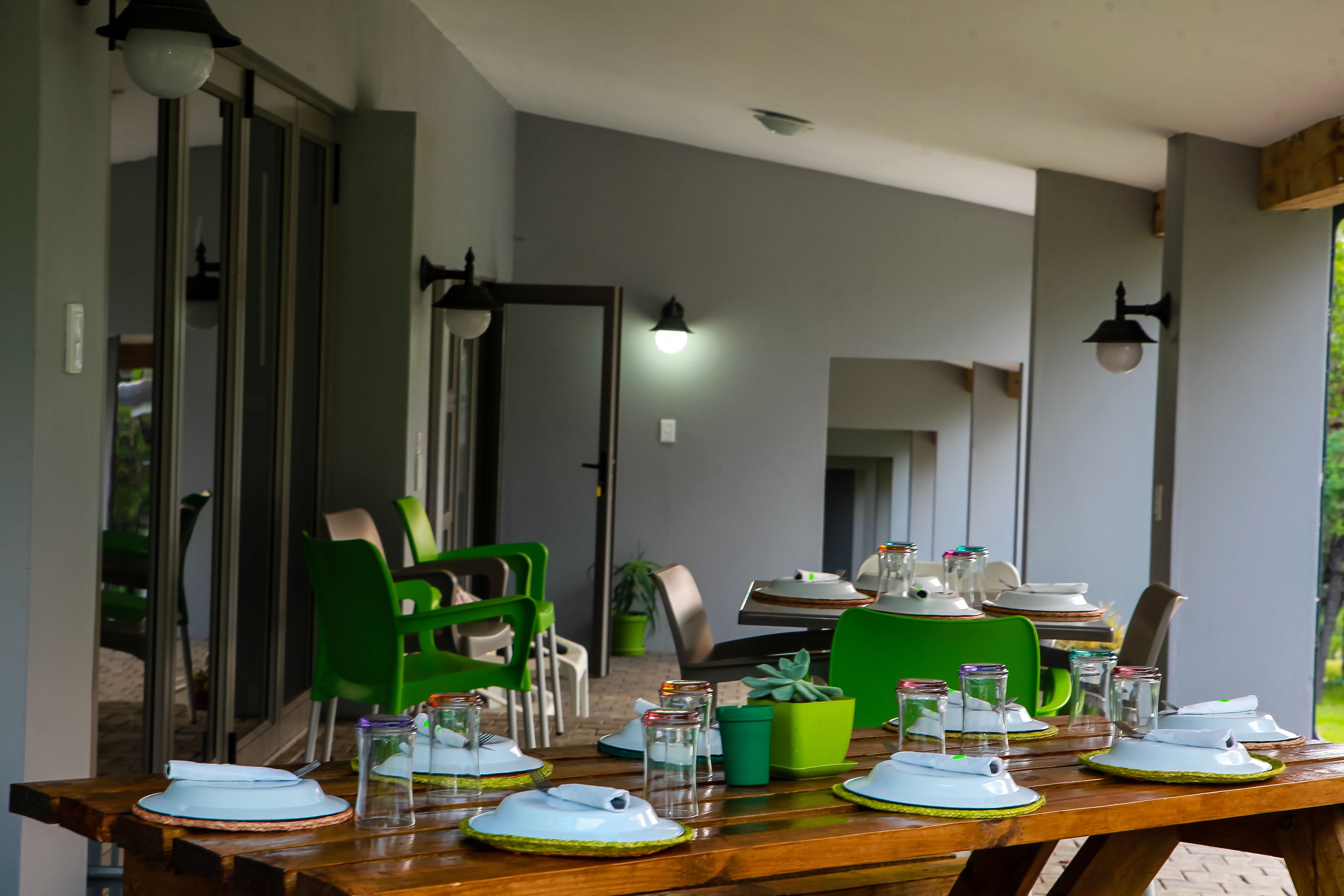 A dining table set with plates, glasses, and cutlery, surrounded by green chairs and a potted plant.