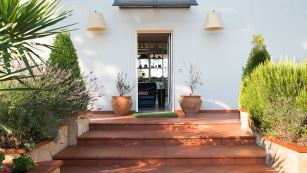 A set of terracotta steps leading to a white building with a door. There are two large potted plants on either side of the steps.