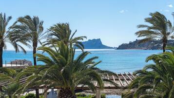 A coastal view with palm trees and a clear blue sea.