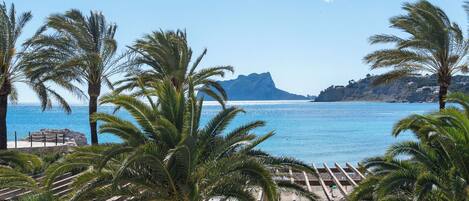 A coastal view with palm trees and a clear blue sea.