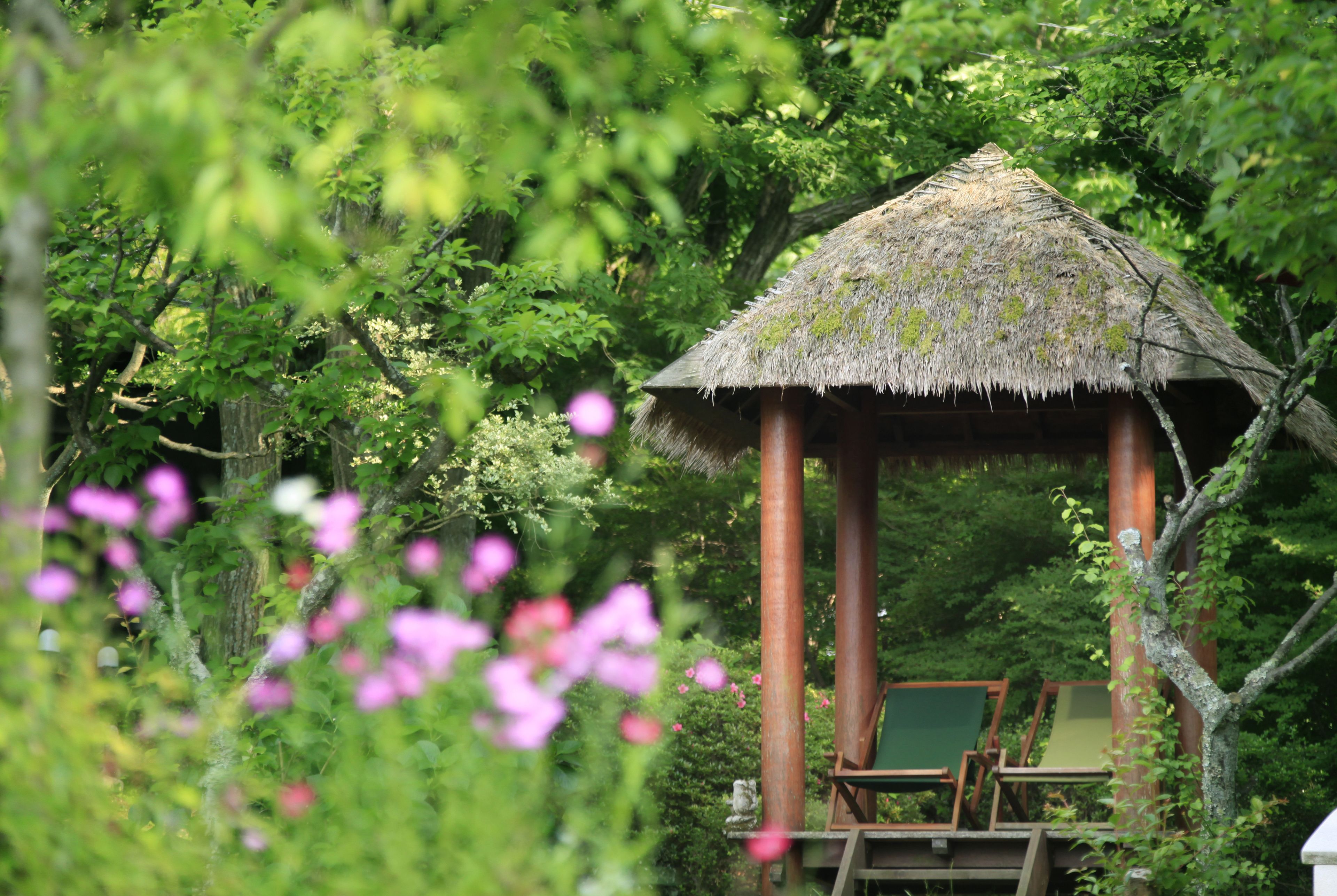 A thatched-roof gazebo surrounded by lush greenery and pink flowers.