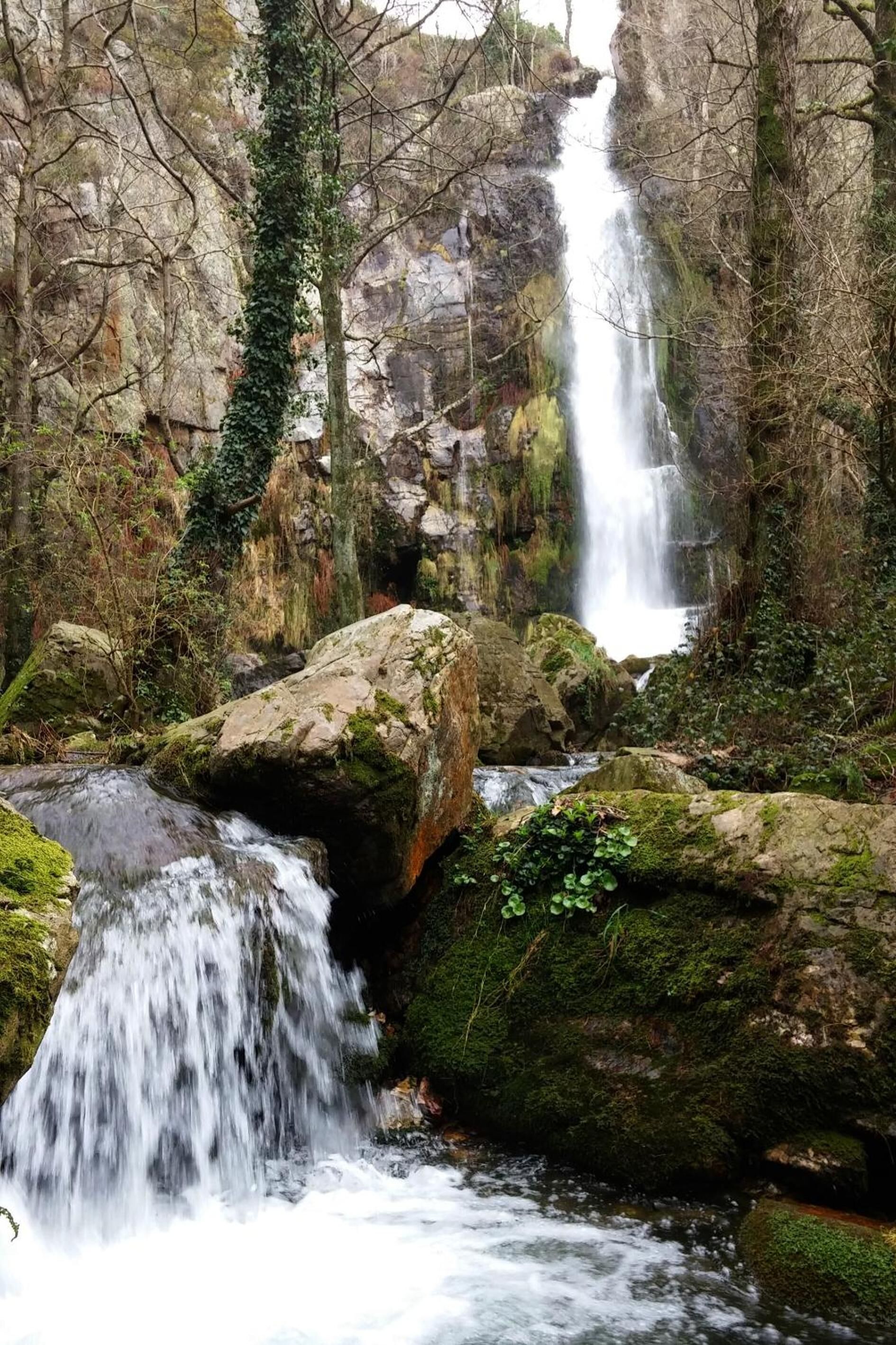 Photo - Las Casonas de Avellaneda