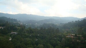 Un paisaje montañoso con casas dispersas y bosque denso.