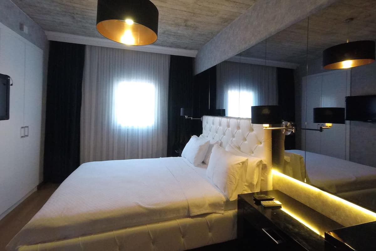 Chambre Double Deluxe | Minibar, bureau, fer et planche à repasser, Wi-Fi gratuit