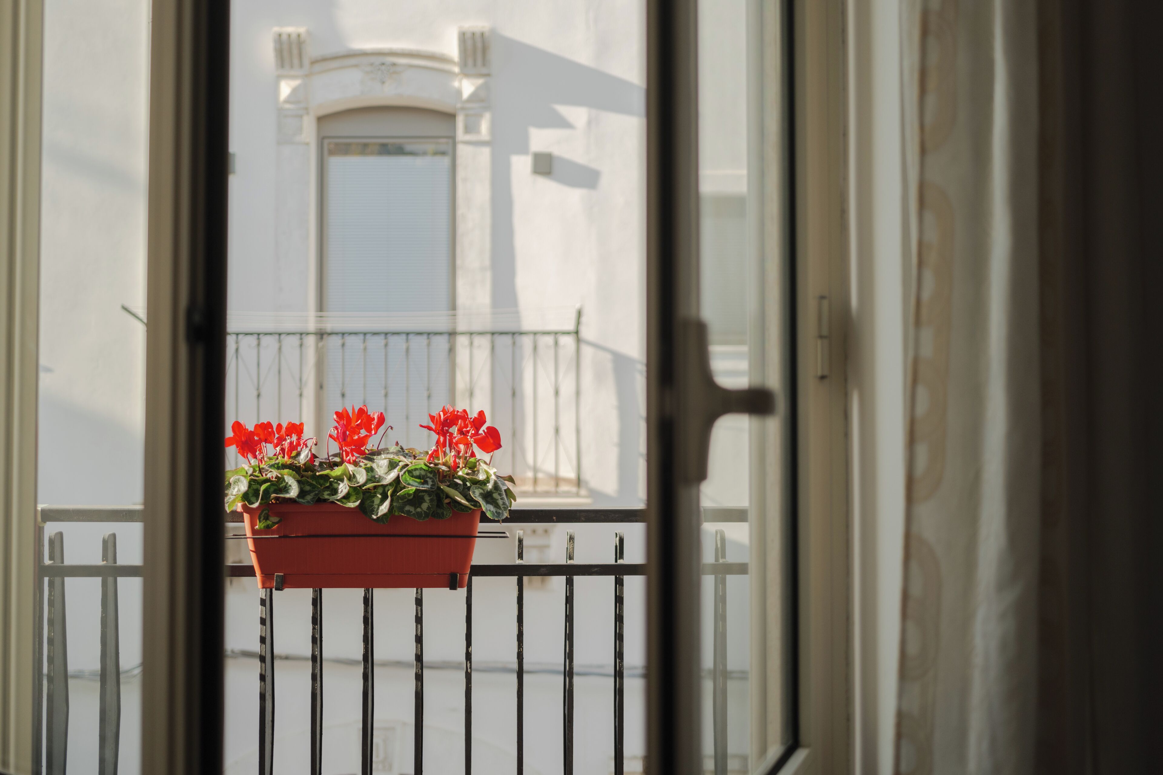 A view through an open door to a balcony with a potted plant.
