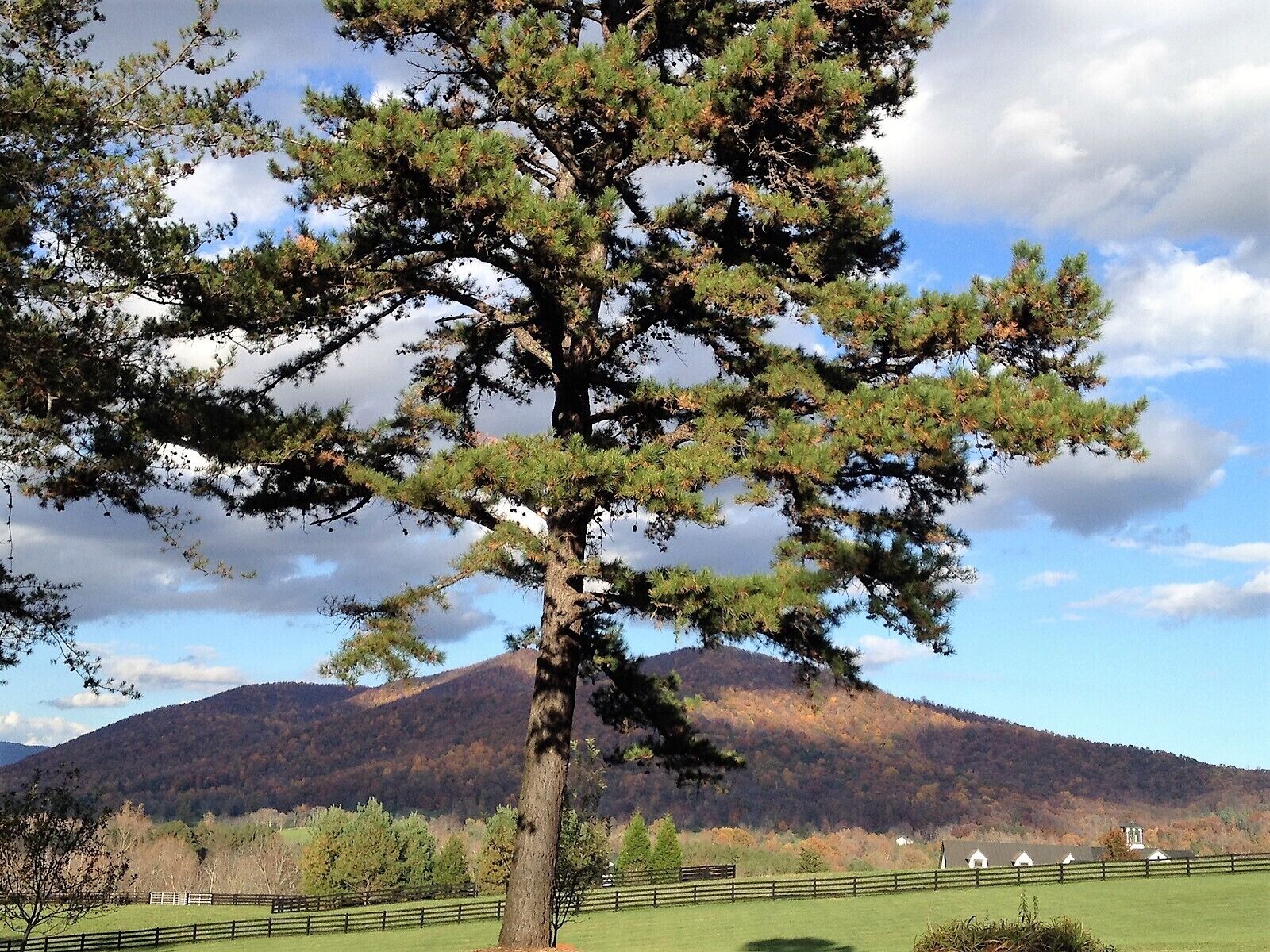 standard cottage, private bathroom, lake view (6 sycamore cottage #6) | view from property