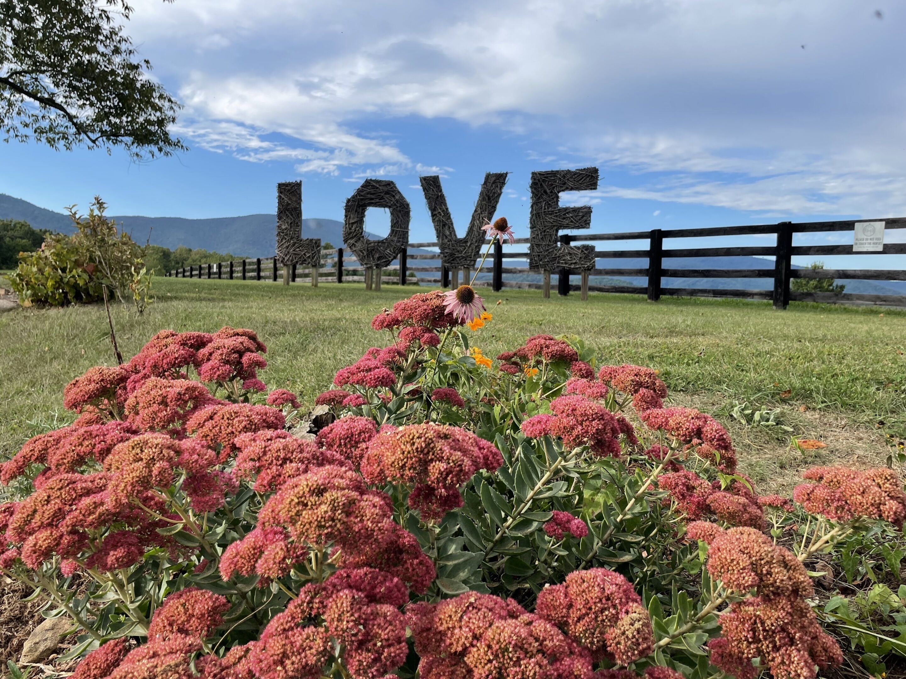 standard cottage, private bathroom, lake view (2 butternut cottage #2) | miscellaneous