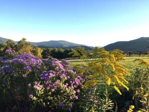 Standard Cottage, Private Bathroom, Lake View (7 Dogwood Cottage #7) | Garden