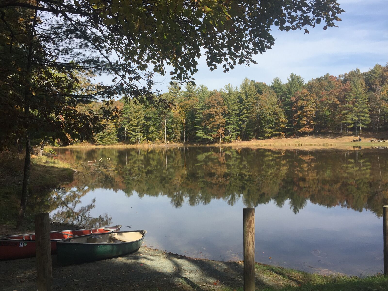A calm lake with reflections of trees and a dock with boats.