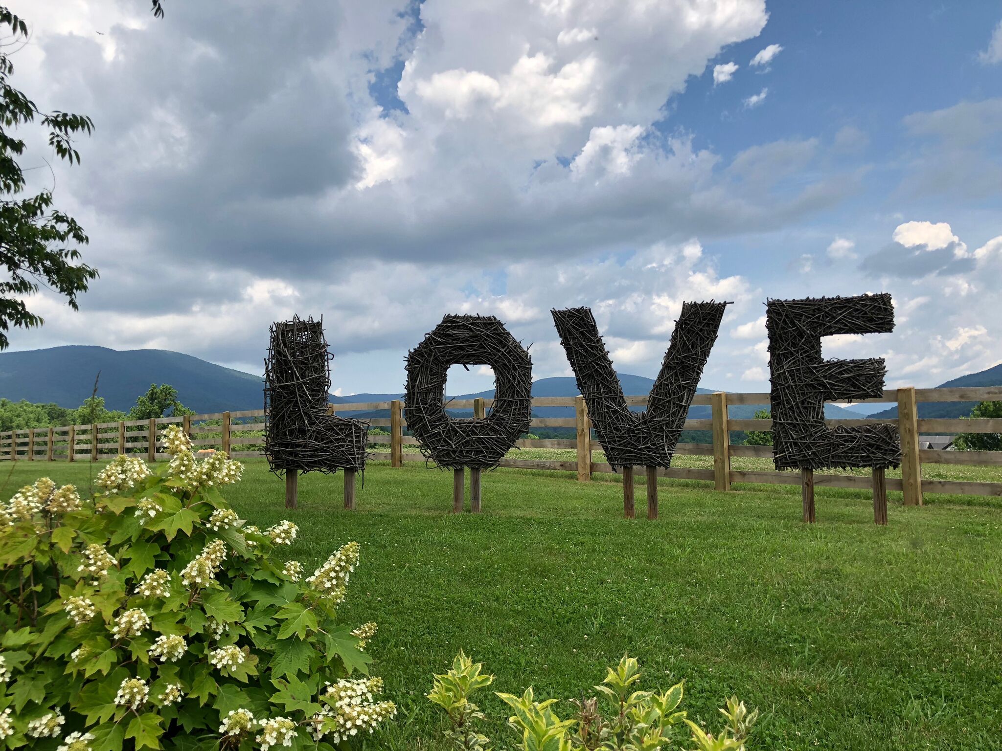 Standard Cottage, Private Bathroom (1 Holly Cottage #1) | Garden