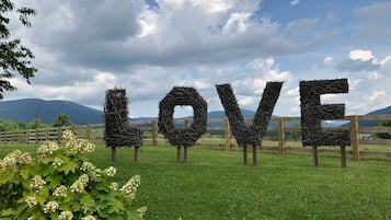 Standard Cottage, Private Bathroom (1 Holly Cottage #1) | Garden