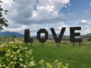 Standard Cottage, Private Bathroom (1 Holly Cottage #1) | Garden