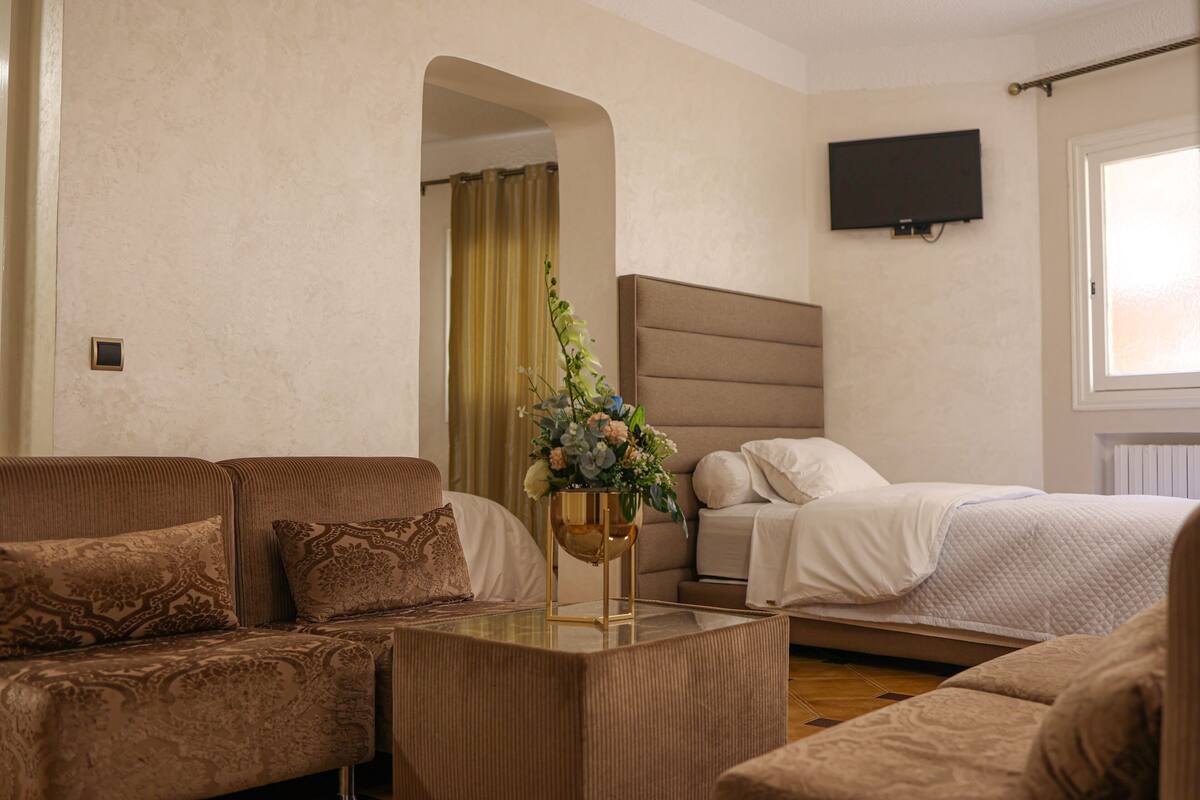 A hotel room with a sofa, a bed, a TV, and a decorative plant.