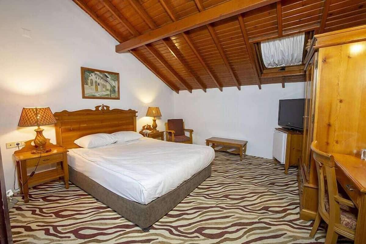 Minibar, desk, free WiFi