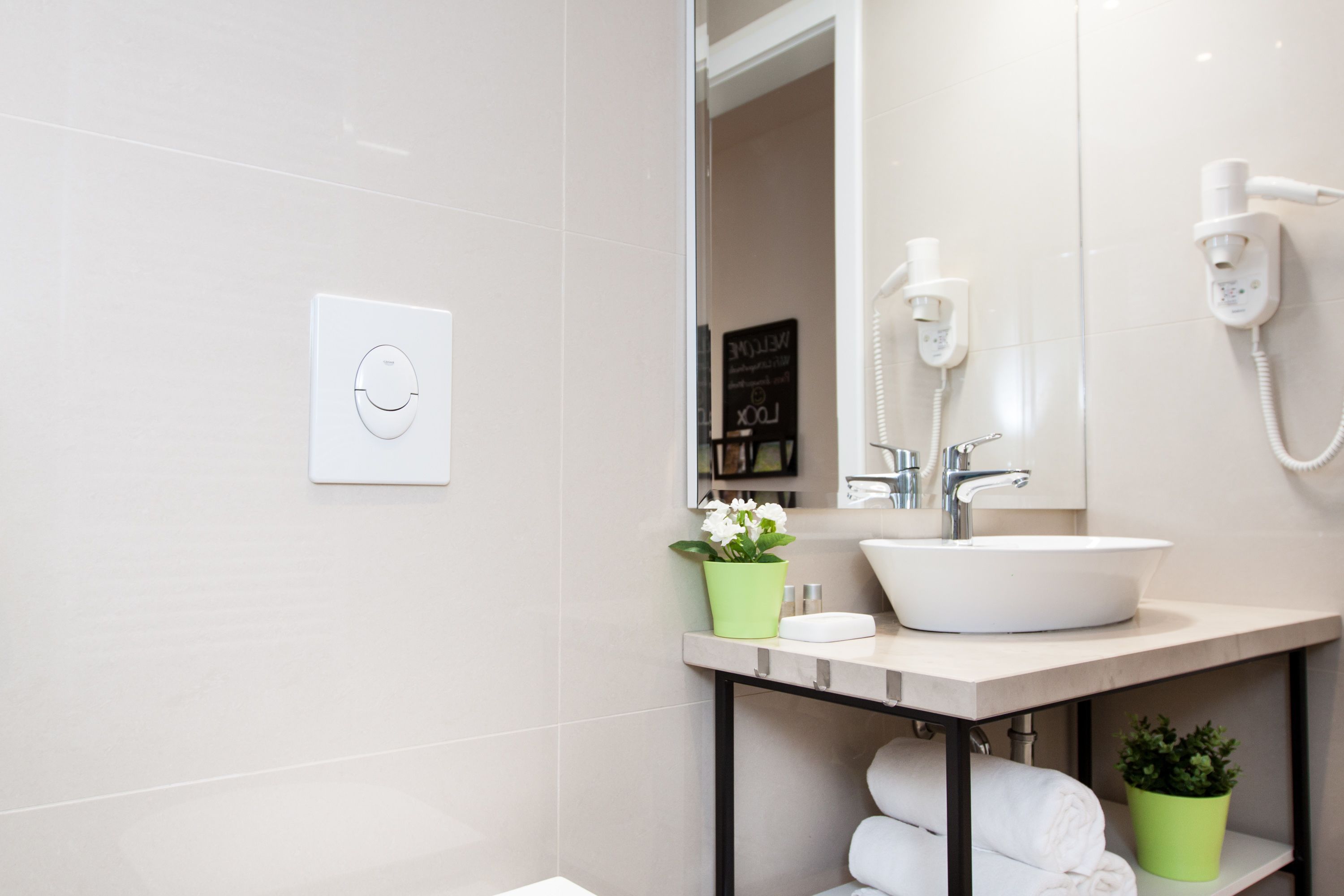 A modern bathroom with a white sink, a handheld showerhead, and a green potted plant.