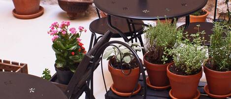 Terraza o patio