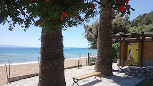 Une promenade en bord de mer bordée de palmiers, avec un banc et un kiosque.