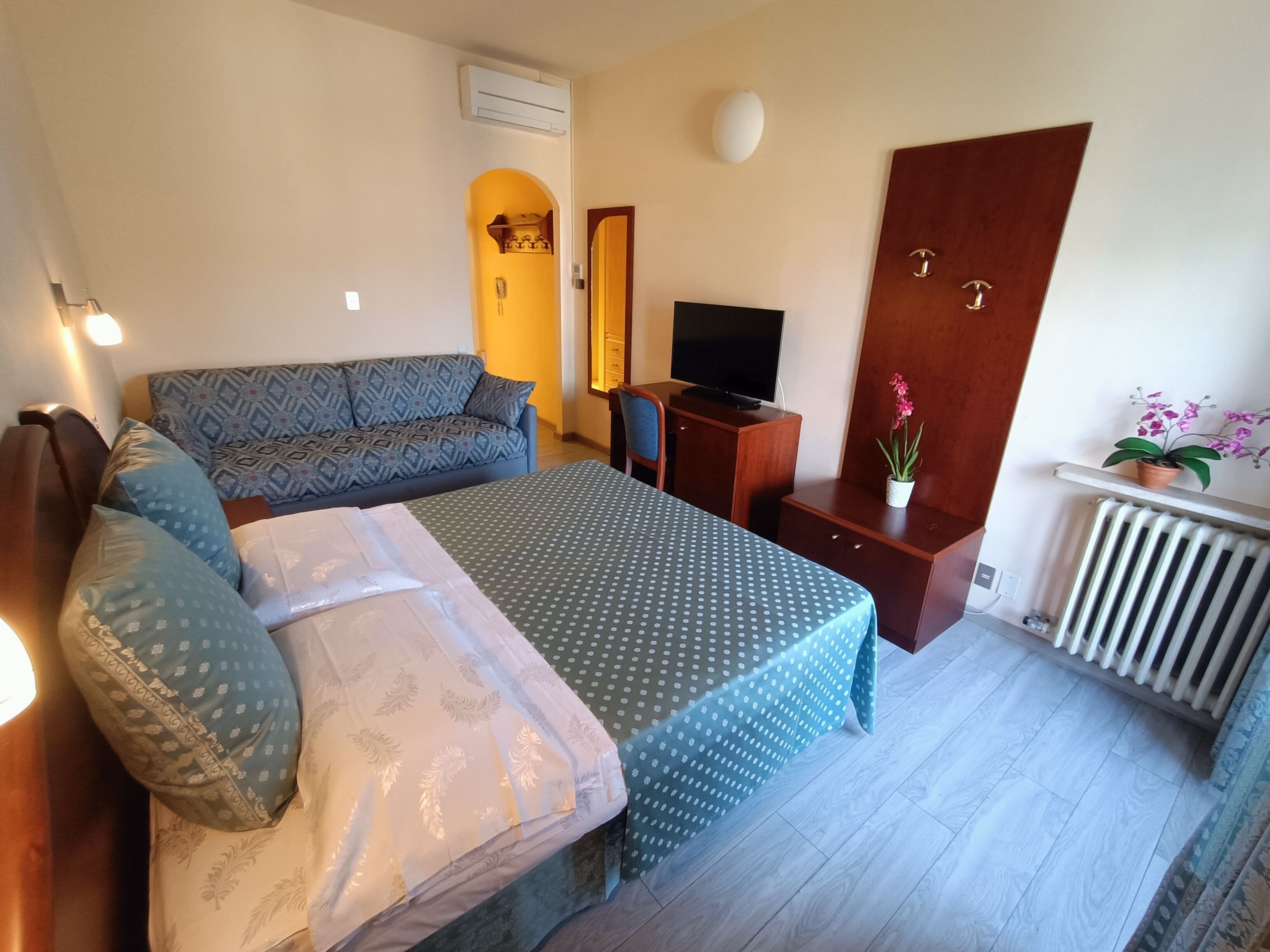 A bedroom with a bed, a sofa, a TV, a desk, and a radiator.