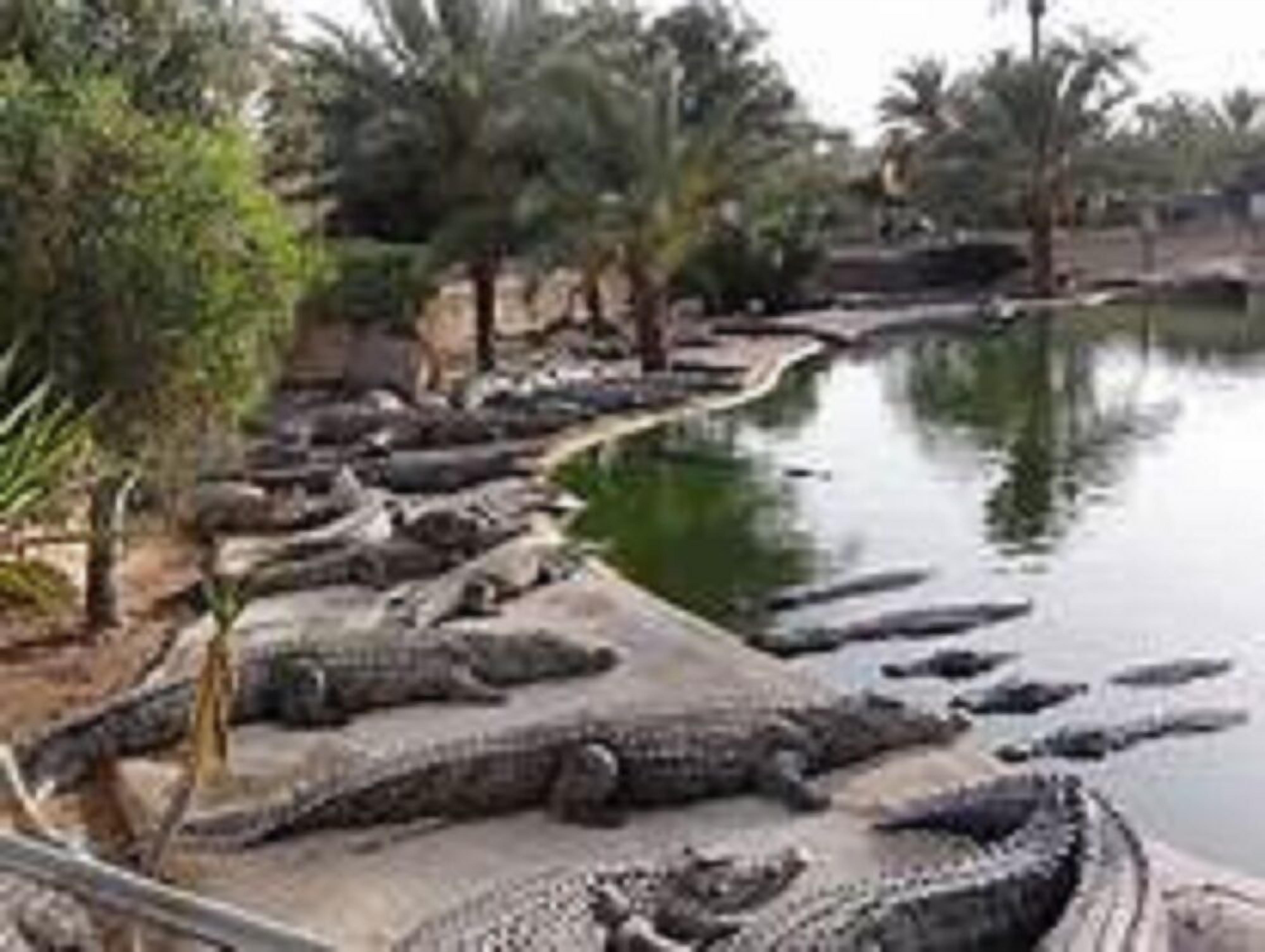 مكان جذب سياحي
