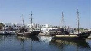 A marina with several boats docked.