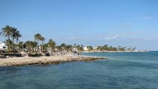 A beach with clear blue water, palm trees, and a sandy shore.