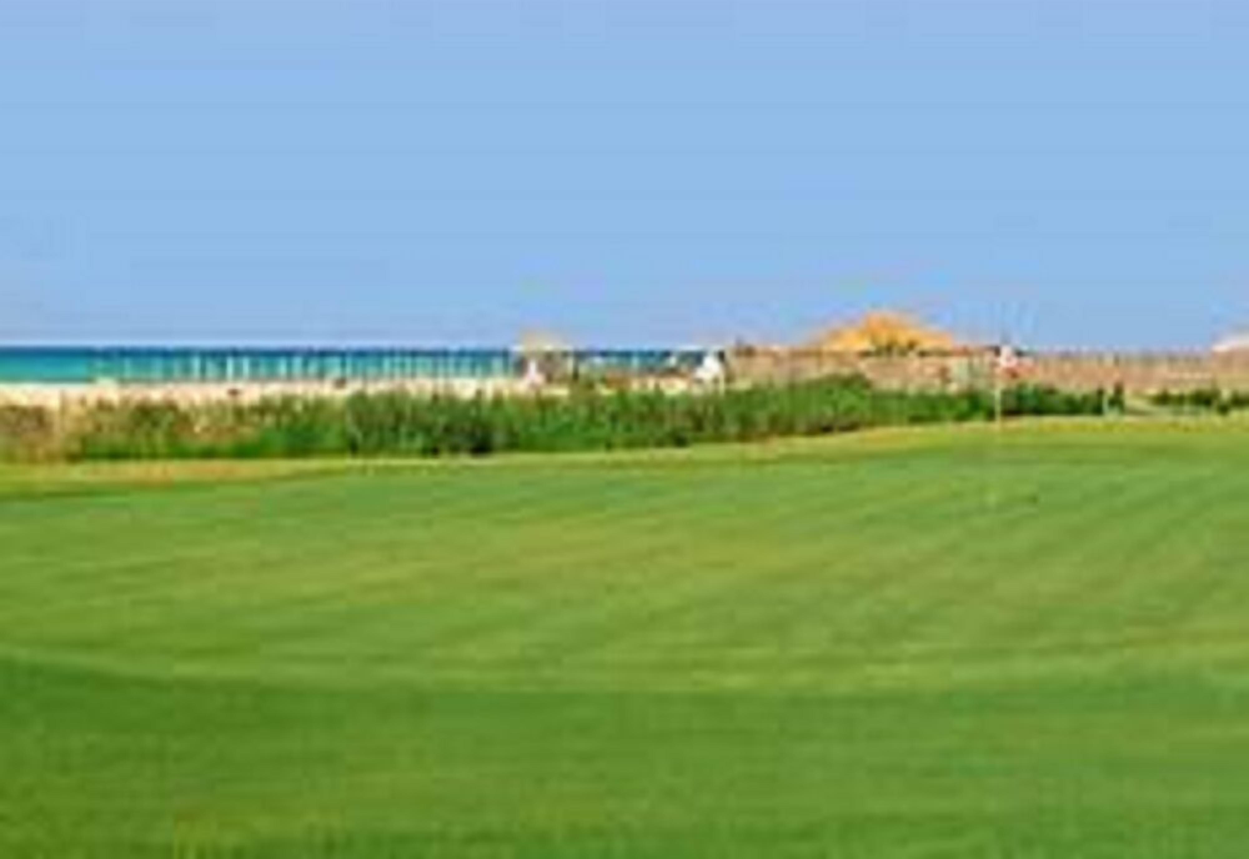 A grassy area with a view of the ocean and a pier in the distance.