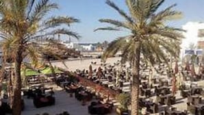A beachside resort with rows of palm trees, outdoor seating, and a clear view of the sea.
