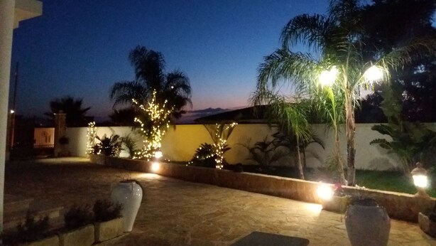 Un'area patio all'aperto con pavimento in pietra, palme e luci decorative.